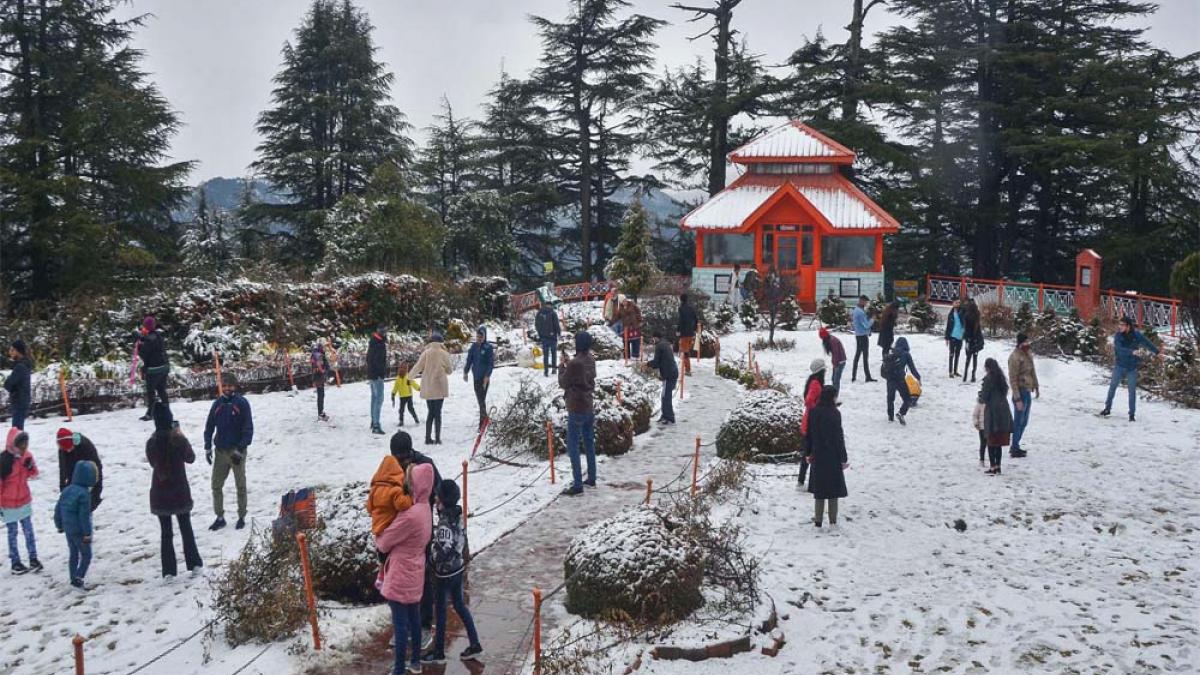 Snowfall Update: बर्फ की चादर में लिपटी वादियां, देखें कश्मीर से हिमाचल तक बर्फबारी का नज़ारा