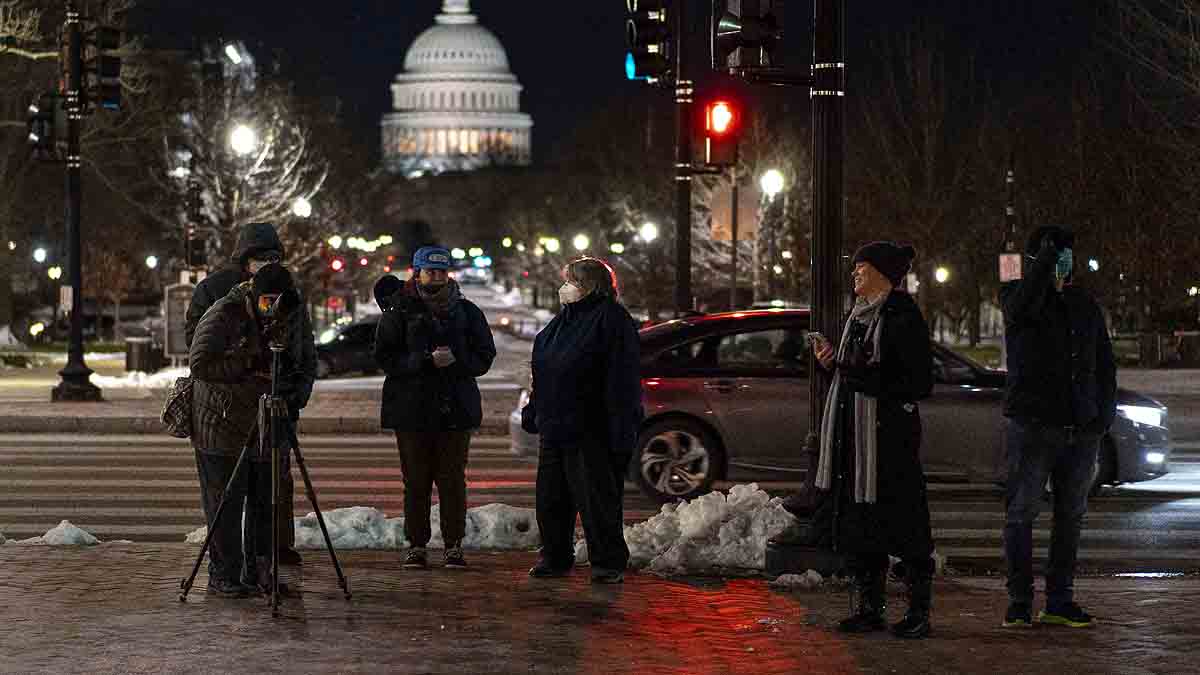 Rare Snowy Owl Washington