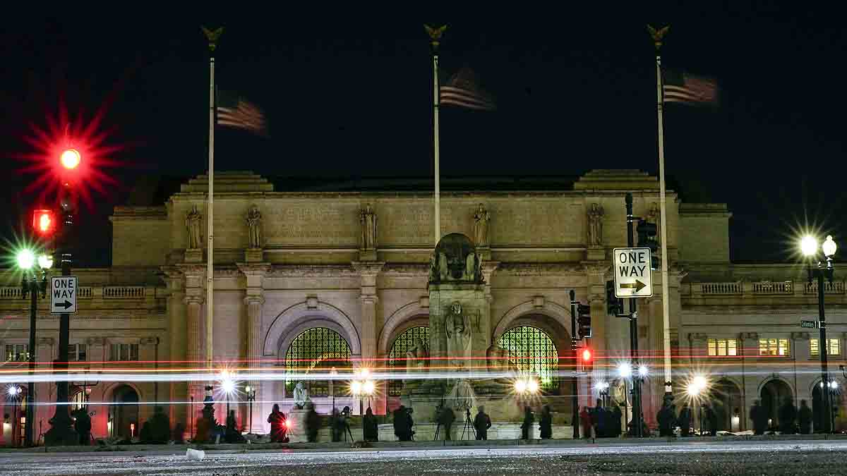 Rare Snowy Owl Washington