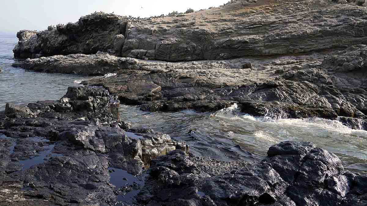 tonga volcano eruption