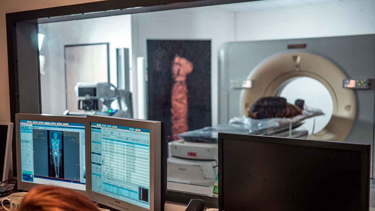 Egyptian Mummy Fetus