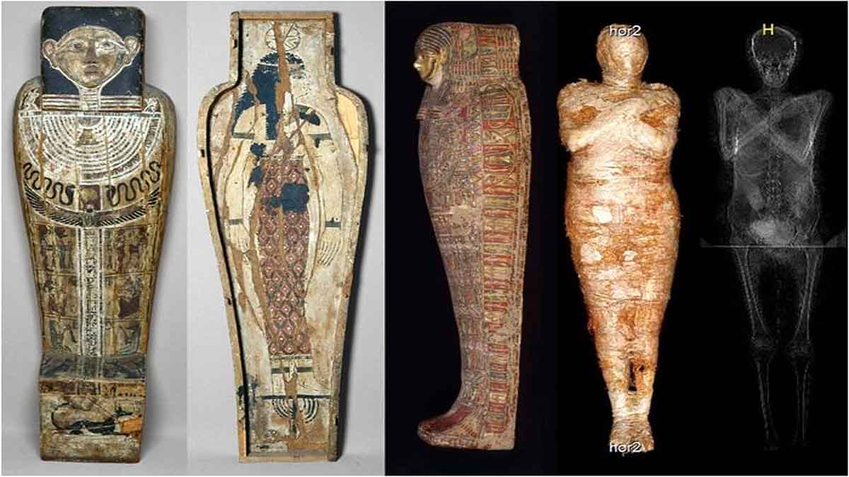 Egyptian Mummy Fetus