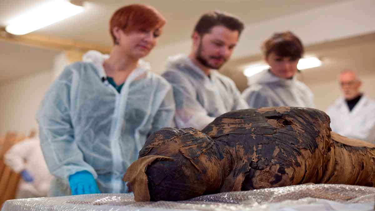 Egyptian Mummy Fetus