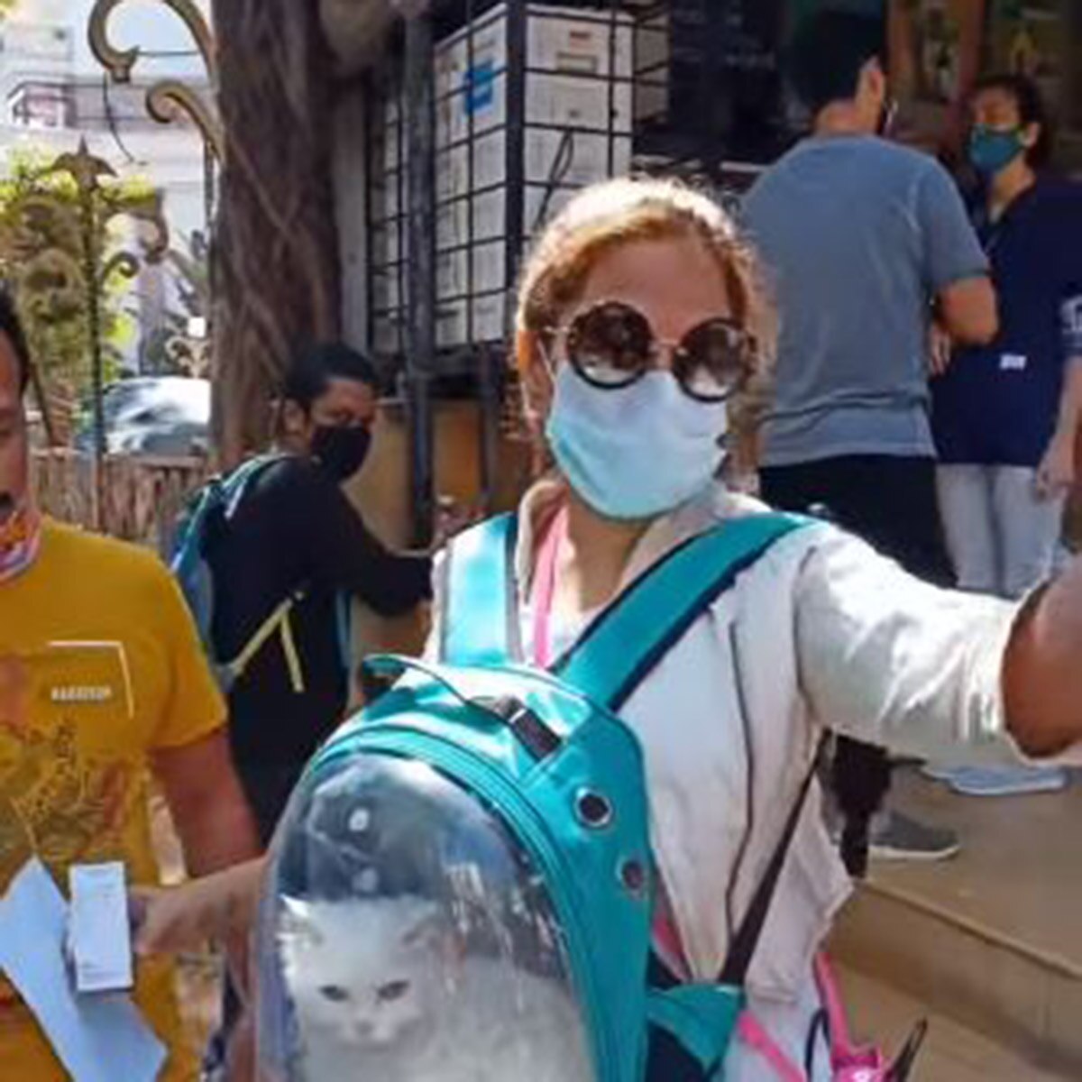 ऋचा चड्ढा