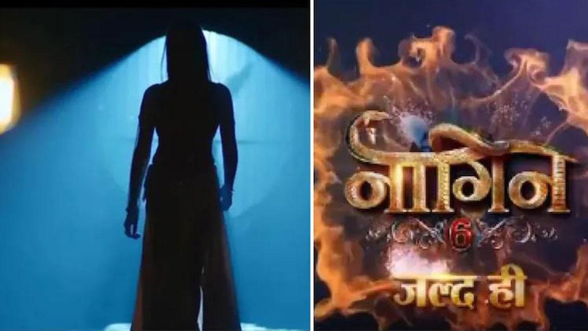 नागिन 6 से बिग बॉस तक, ये हैं TV के सबसे महंगे शोज, फिल्मों जैसे सेट-करोड़ों में बजट!