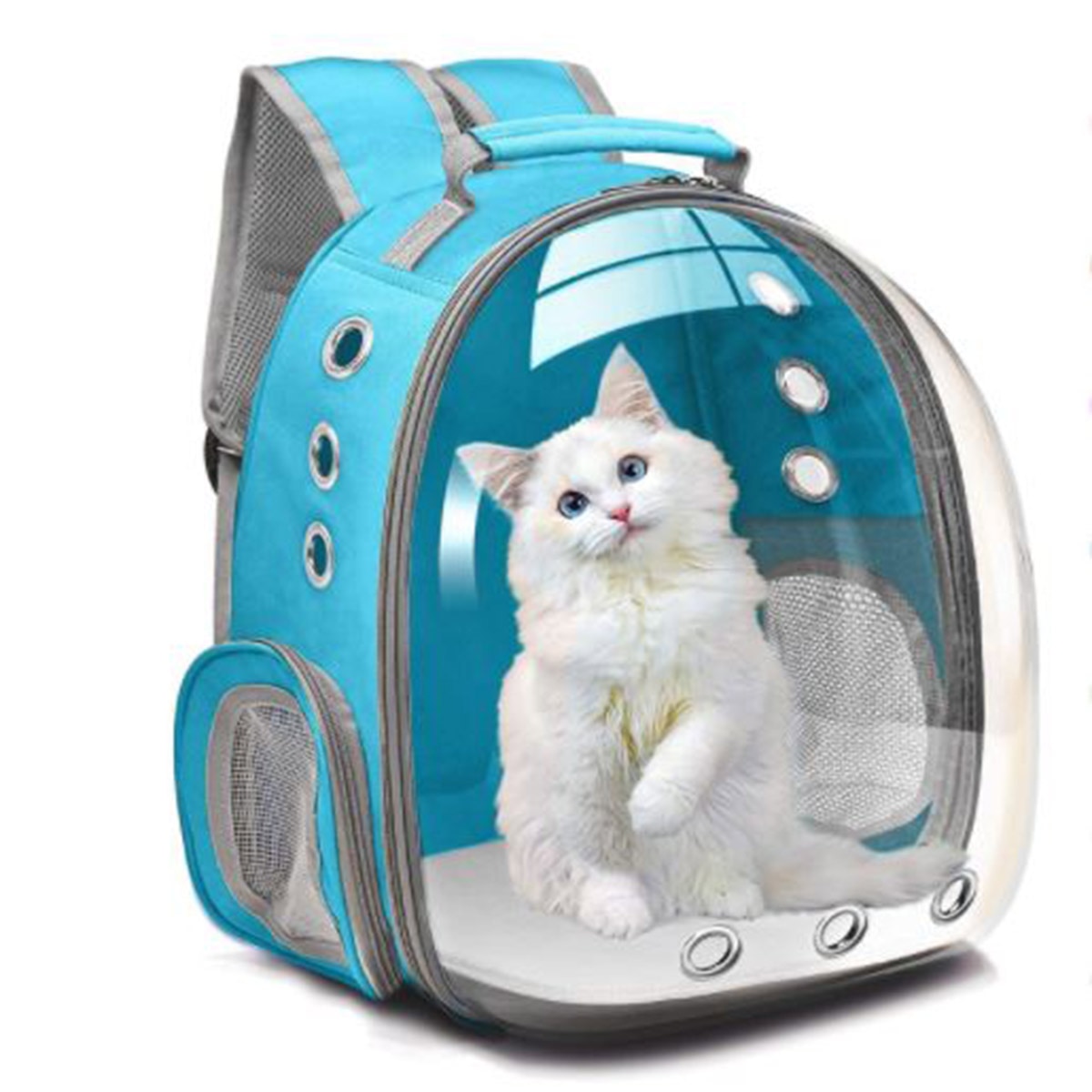 कैट कैरी बैग