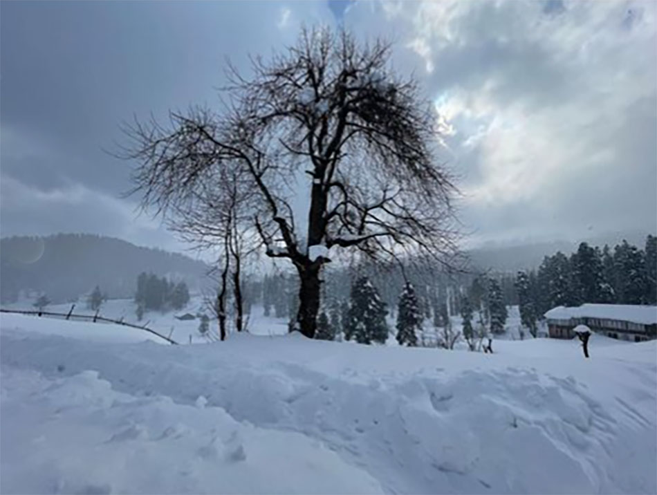 मौनी रॉय