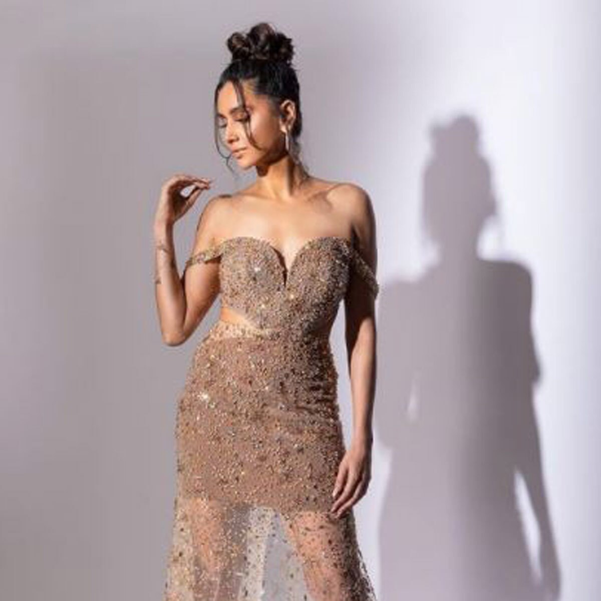  शिबानी दांडेकर