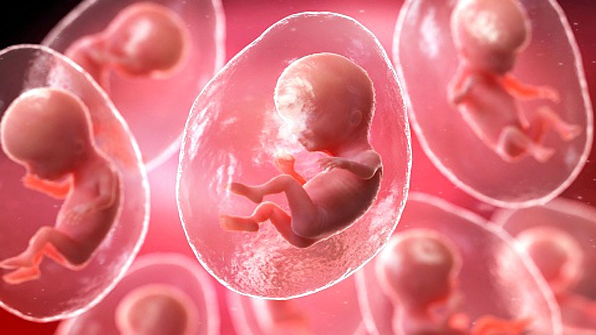 Artificial Womb Embryo AI Nanny