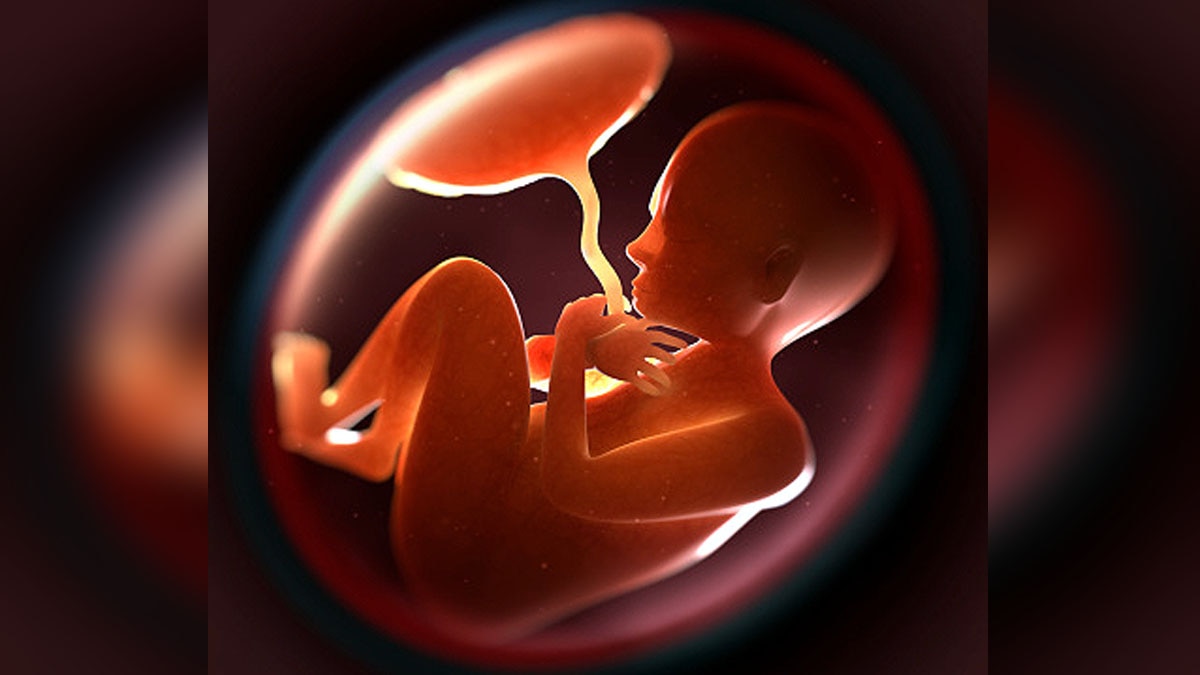 Artificial Womb Embryo AI Nanny