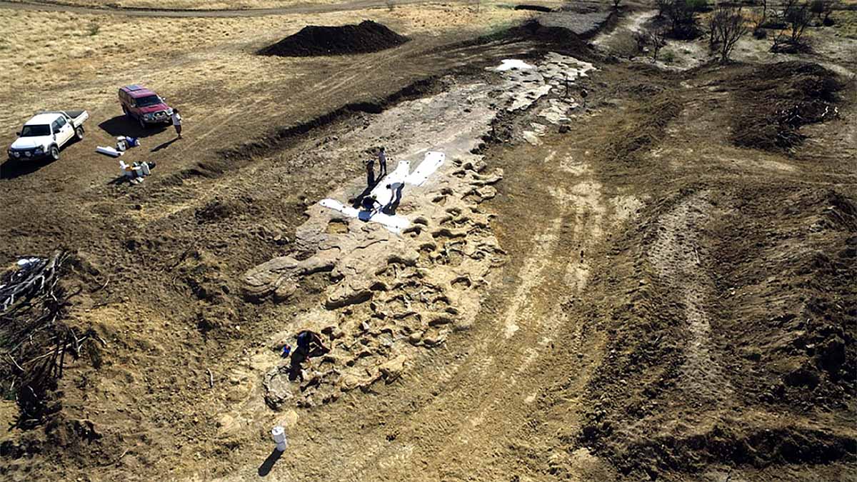 ancient killer crocodile