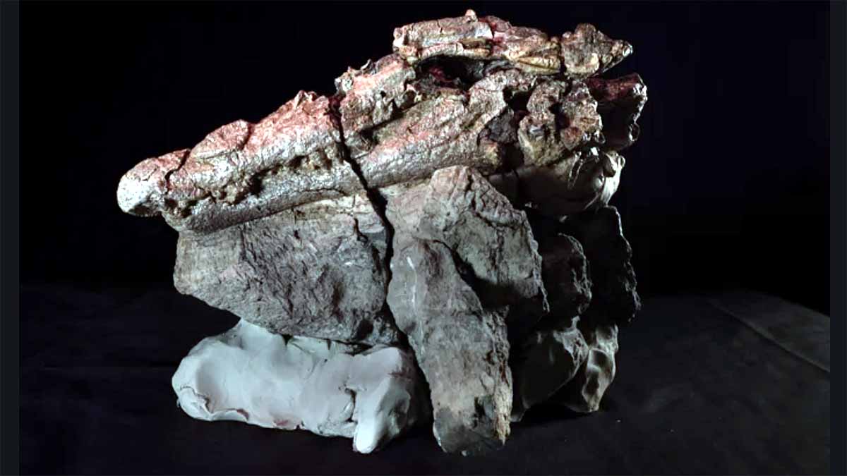 ancient killer crocodile