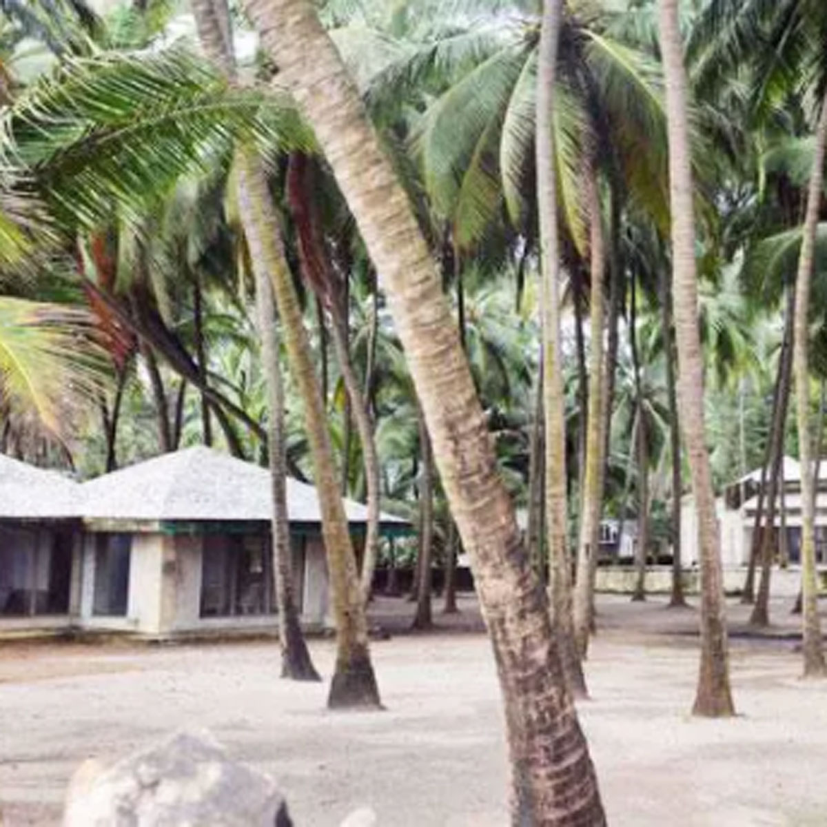 सलमान खान की प्रॉपर्टी