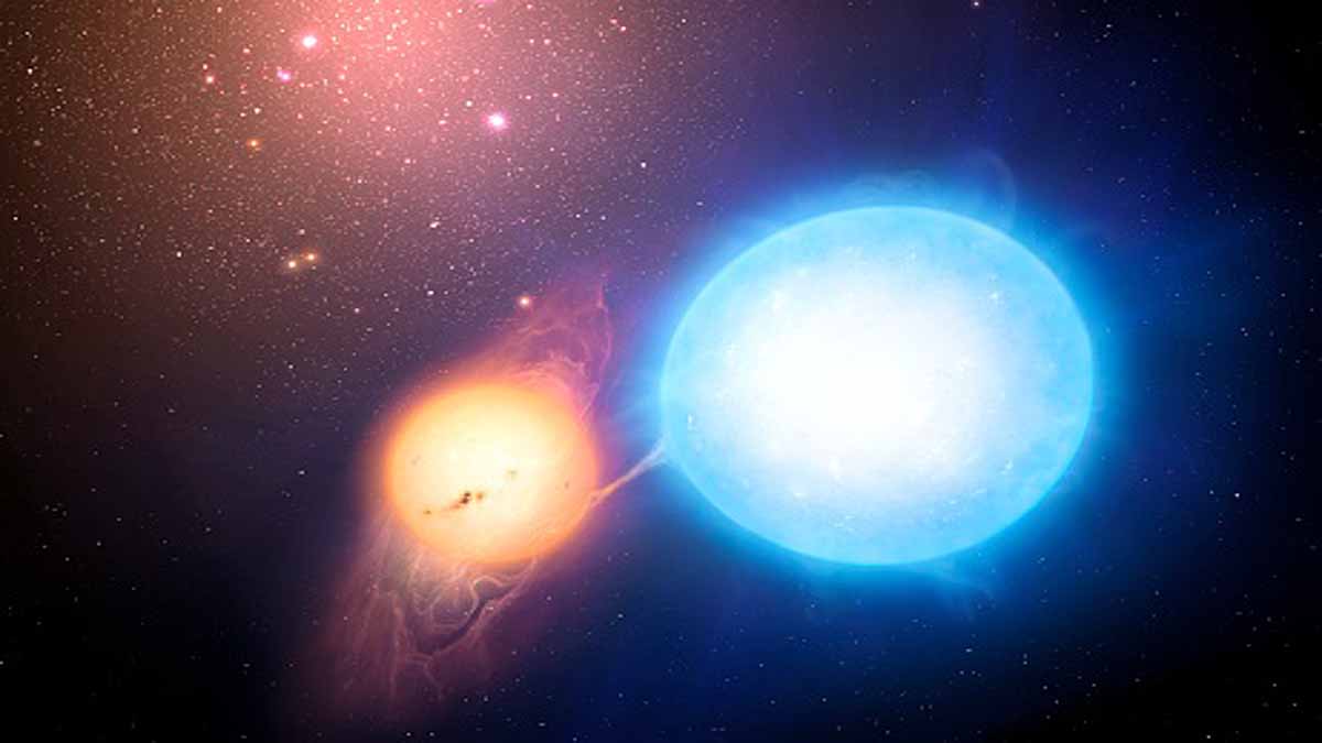 Carbon-Oxygen Rich New Star