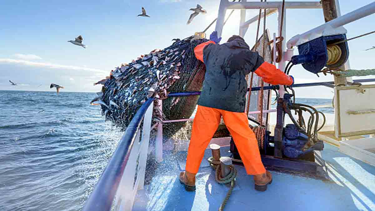 Lack of Oxygen in Oceans