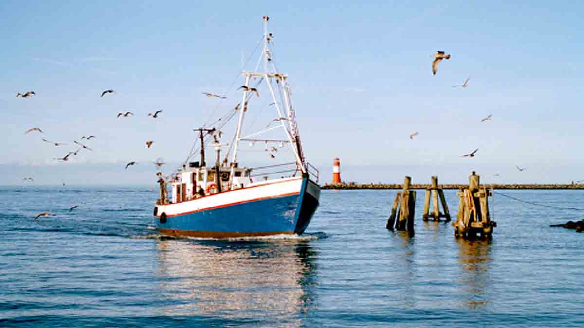 Lack of Oxygen in Oceans