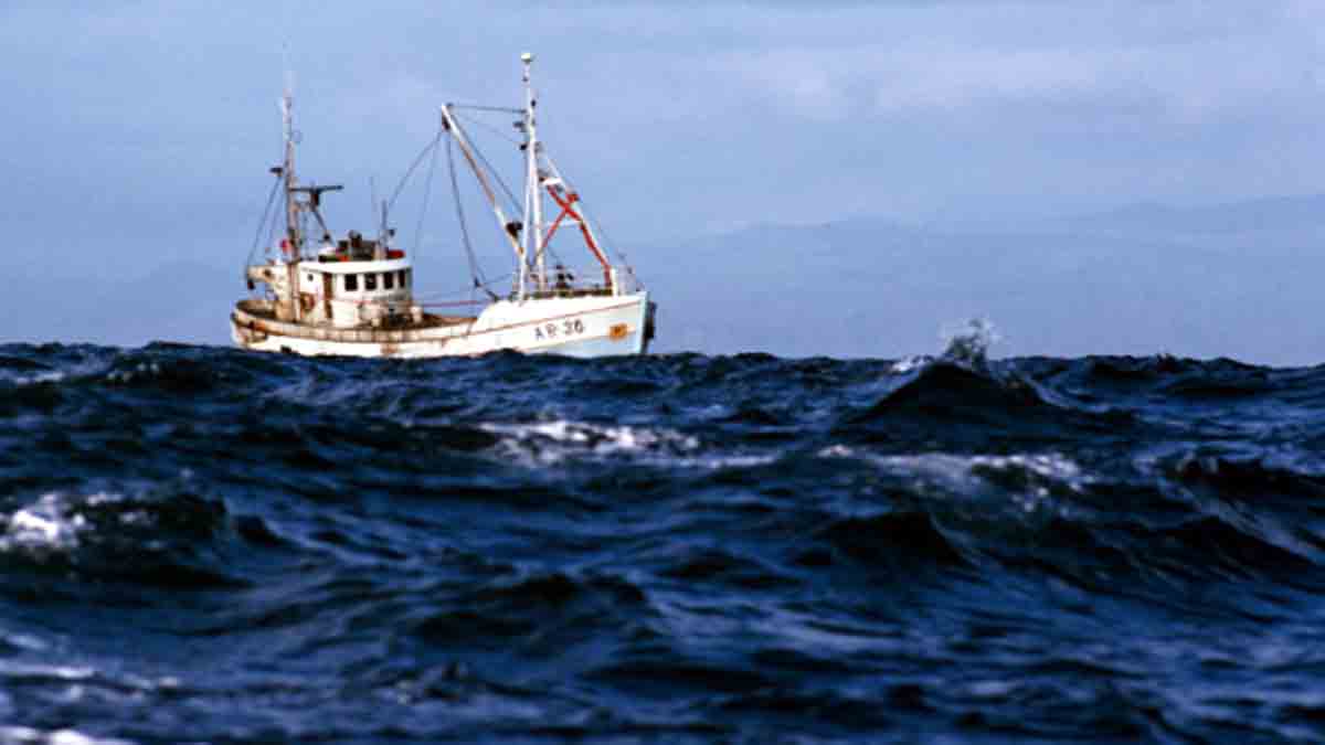 Lack of Oxygen in Oceans