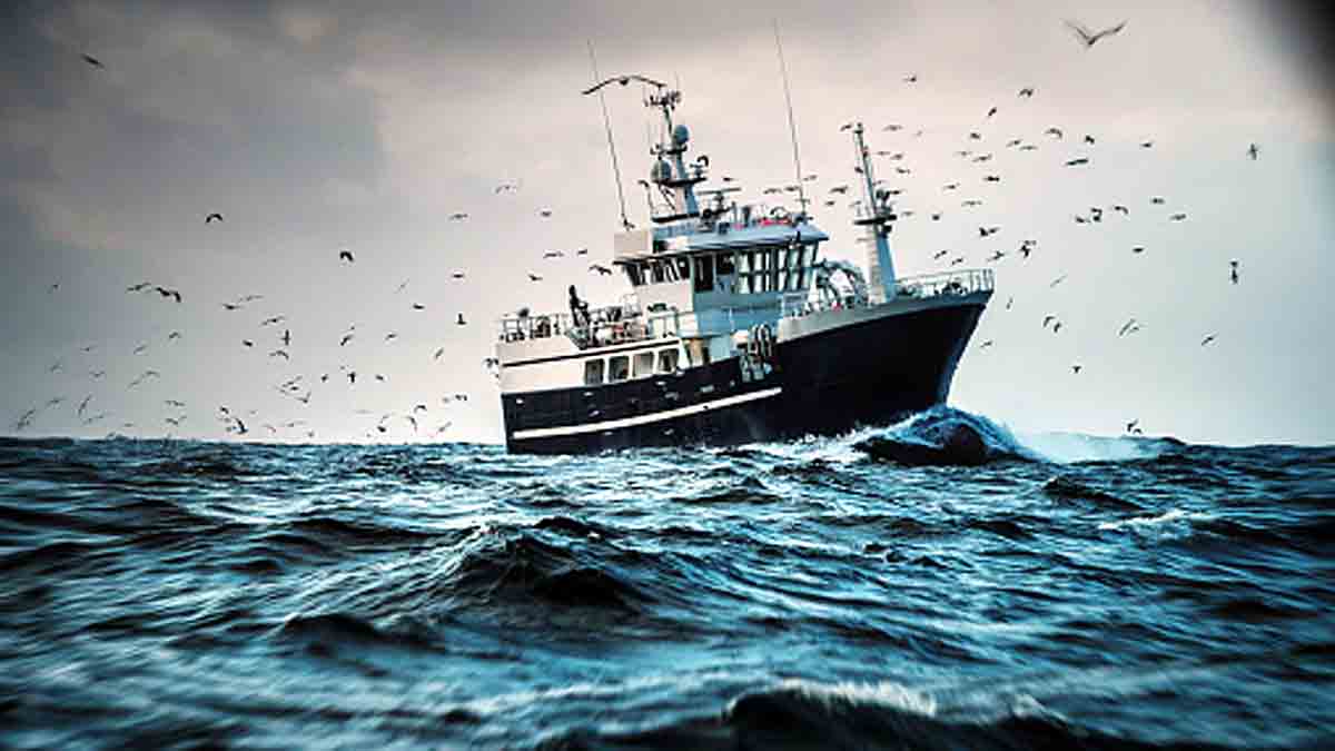 Lack of Oxygen in Oceans