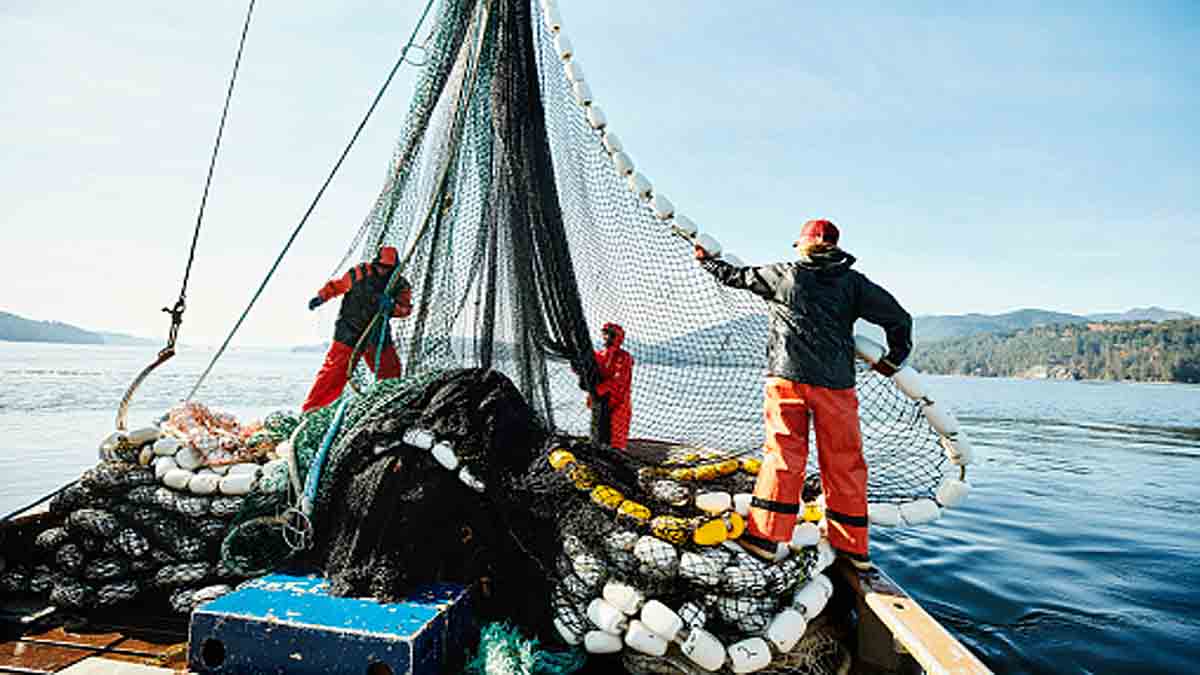 Lack of Oxygen in Oceans