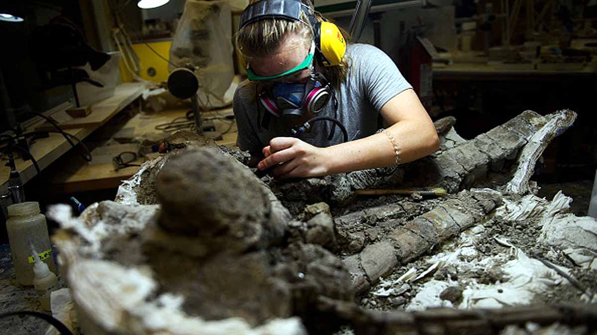 ancient killer crocodile