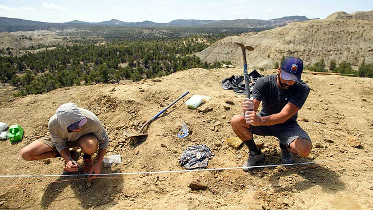 ancient killer crocodile