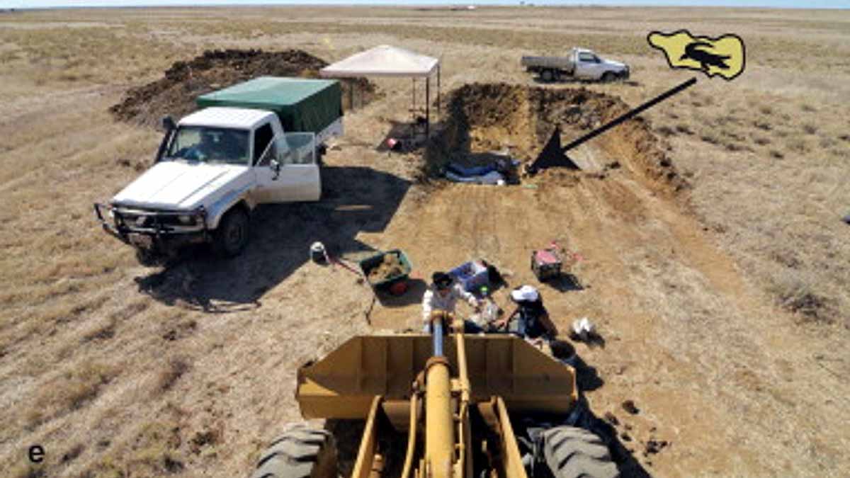 ancient killer crocodile