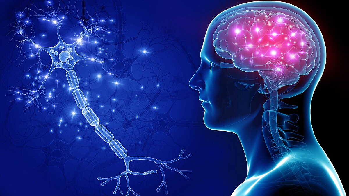 First Recording Of Dying Human Brain 