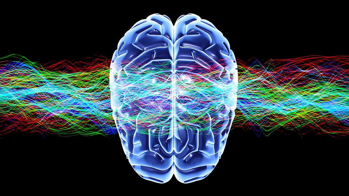 First Recording Of Dying Human Brain 