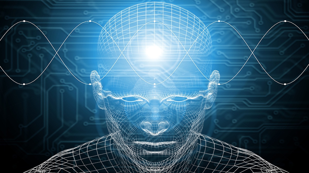 First Recording Of Dying Human Brain 