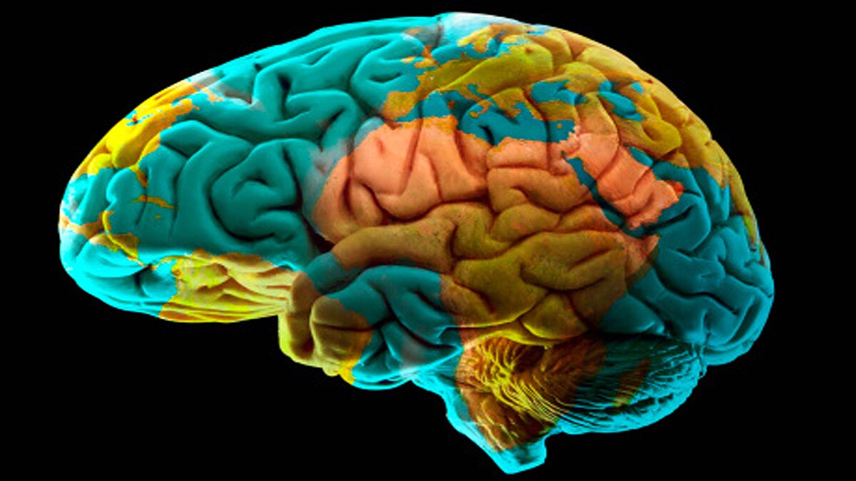 Earth Has its own Brain