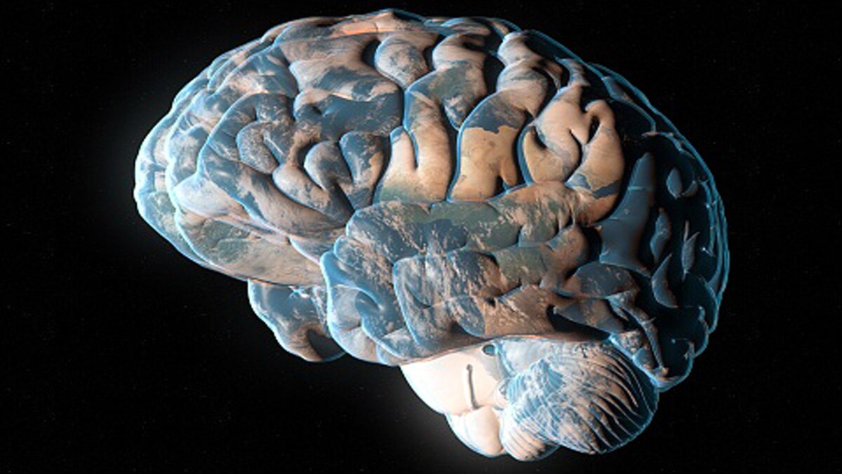 Earth Has its own Brain