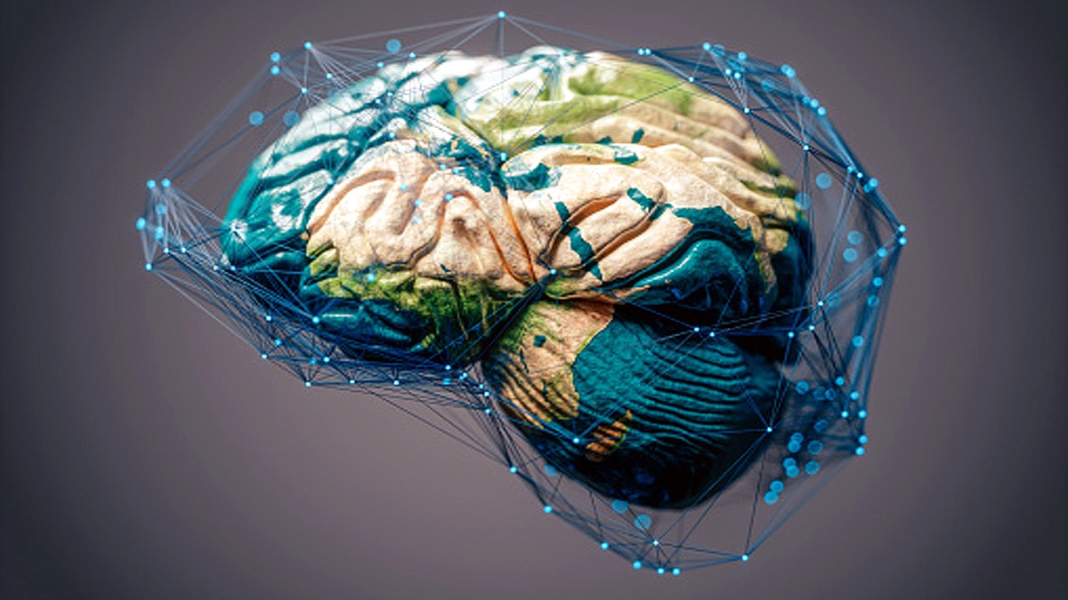 Earth Has its own Brain