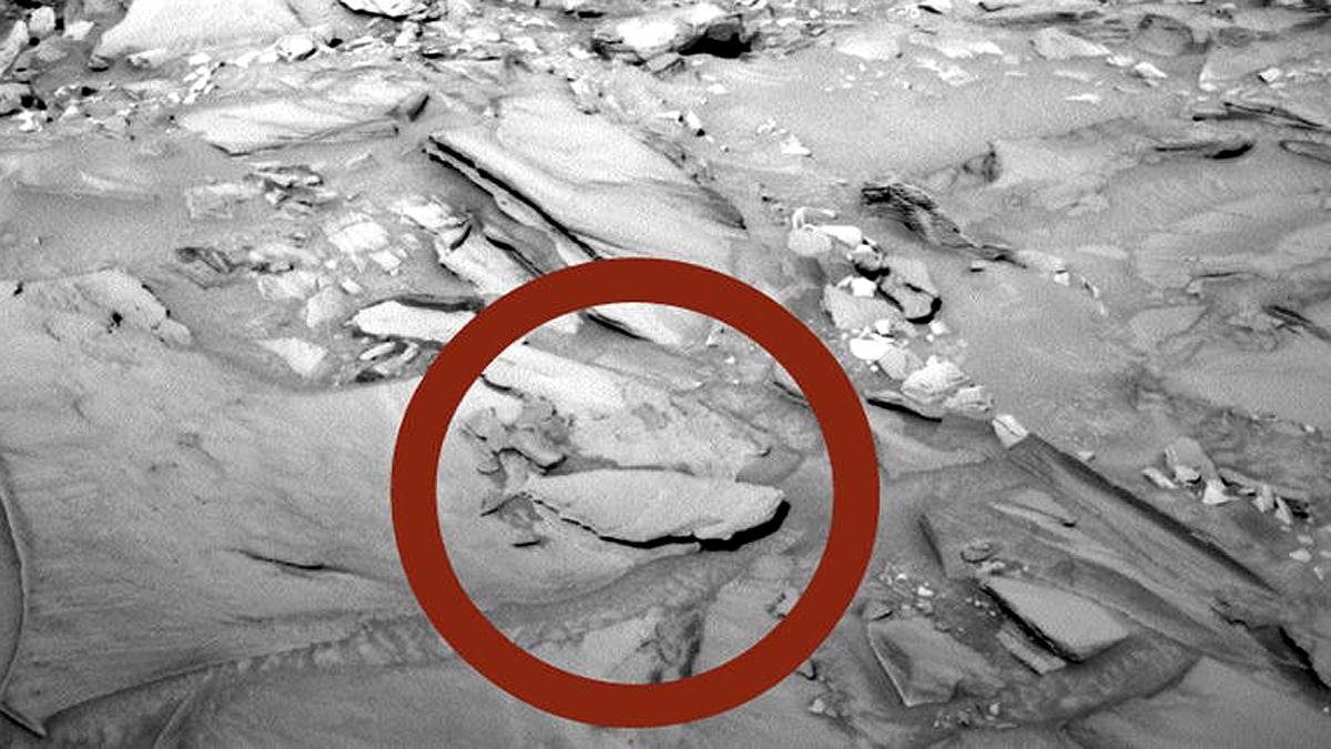 fish shaped rock on mars