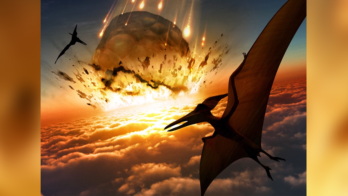 flying reptile Scotland