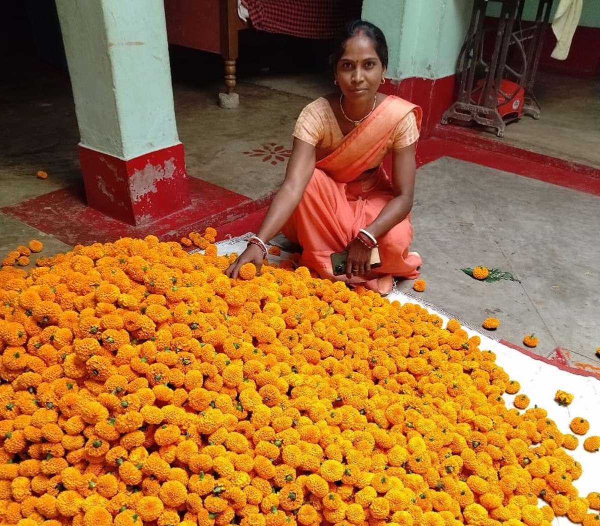 Genda Phool Farming How to Do