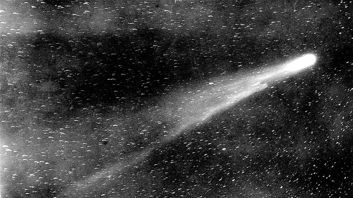 Largest comet Bernardinelli-Bernstein