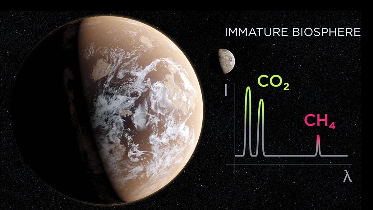 Earth Has its own Brain