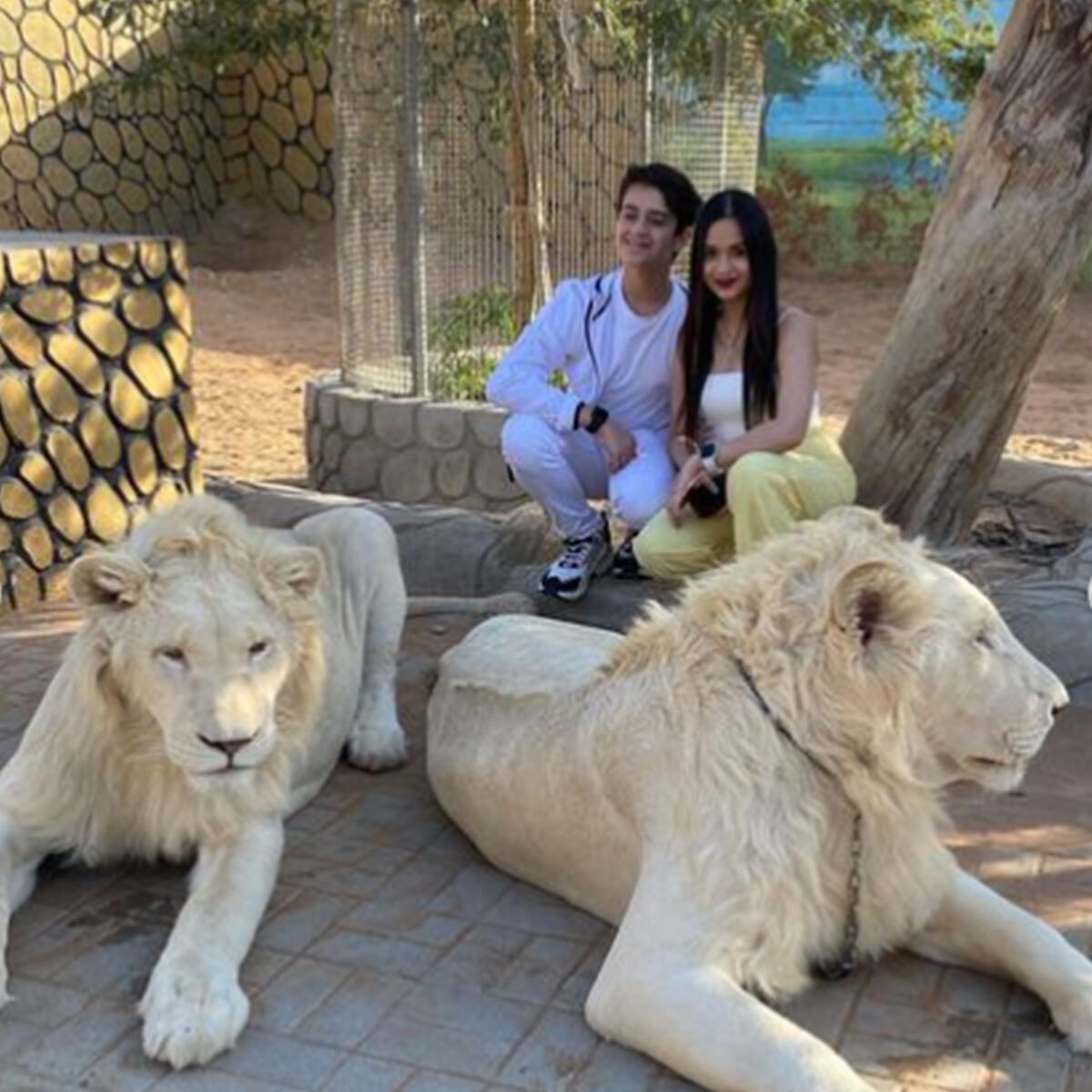 जन्नत जुबैर