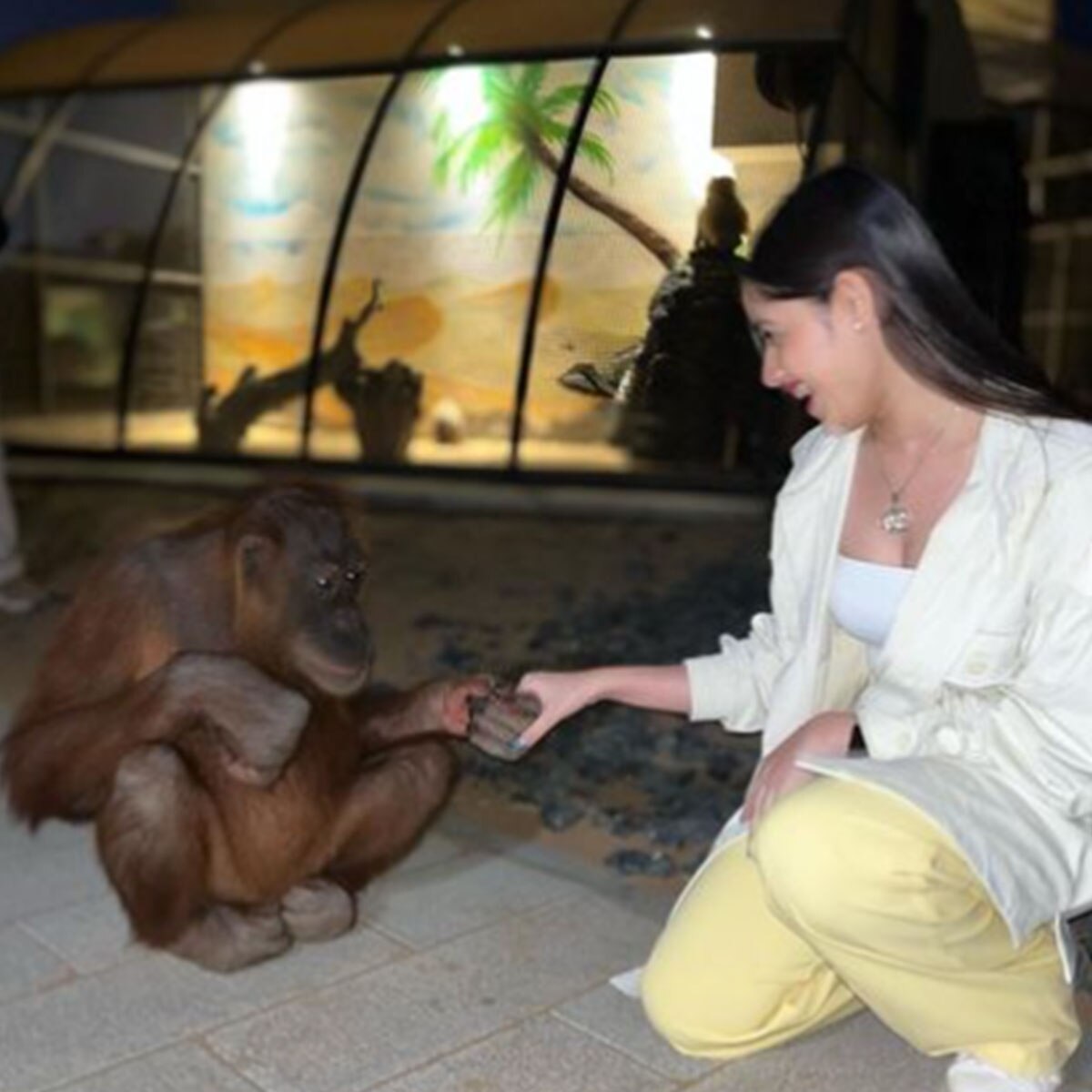 जन्नत जुबैर