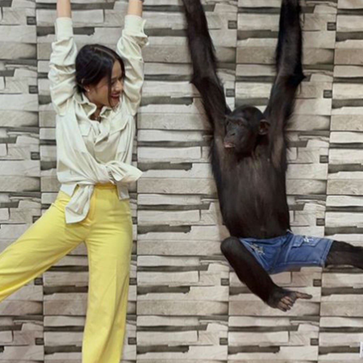 जन्नत जुबैर