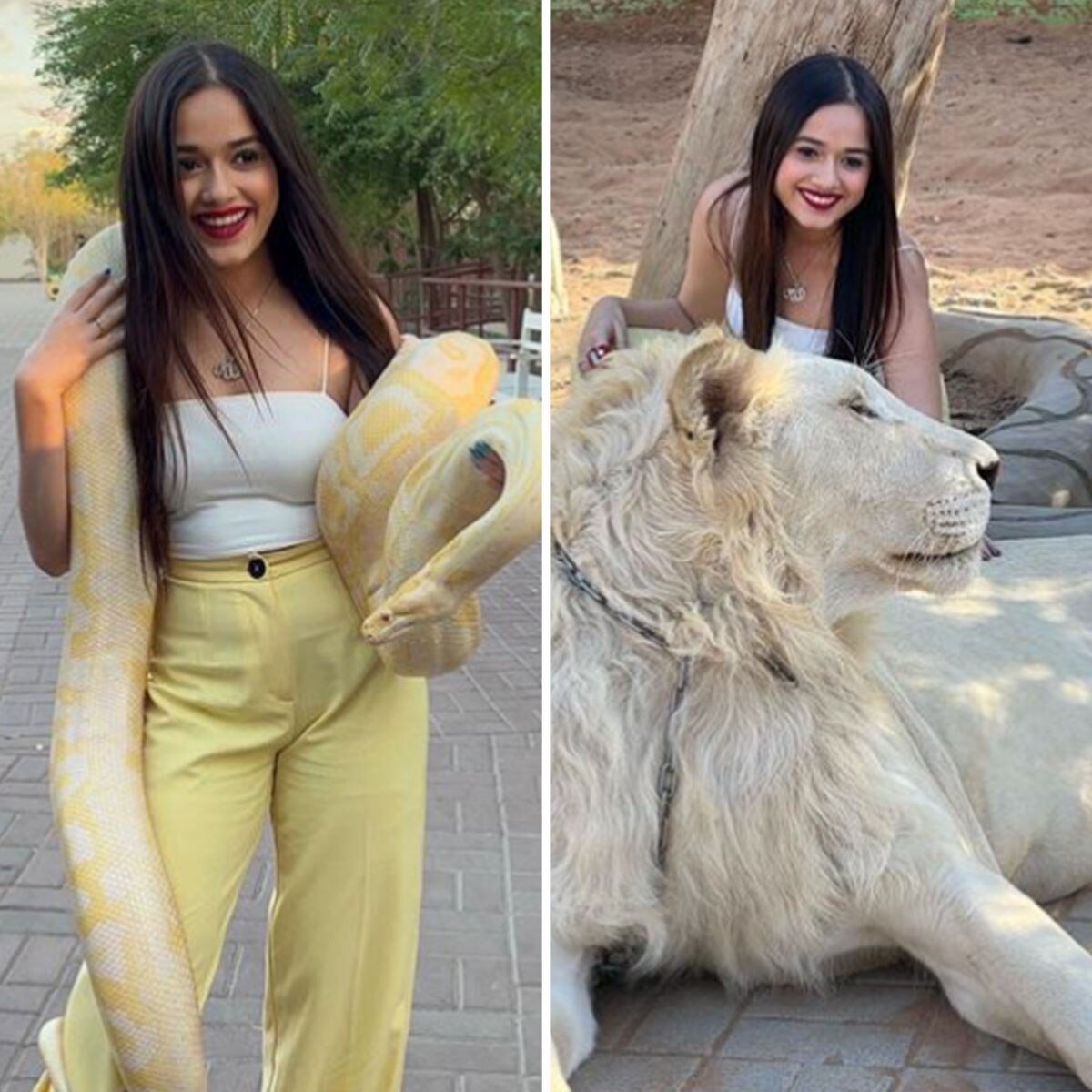 जन्नत जुबैर