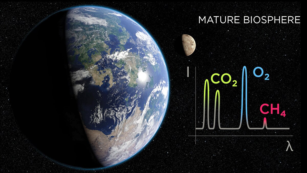 Earth Has its own Brain