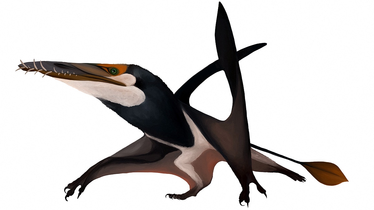 flying reptile Scotland