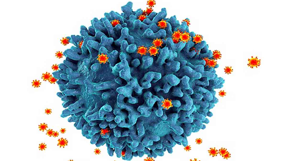 Netherlands HIV Variant