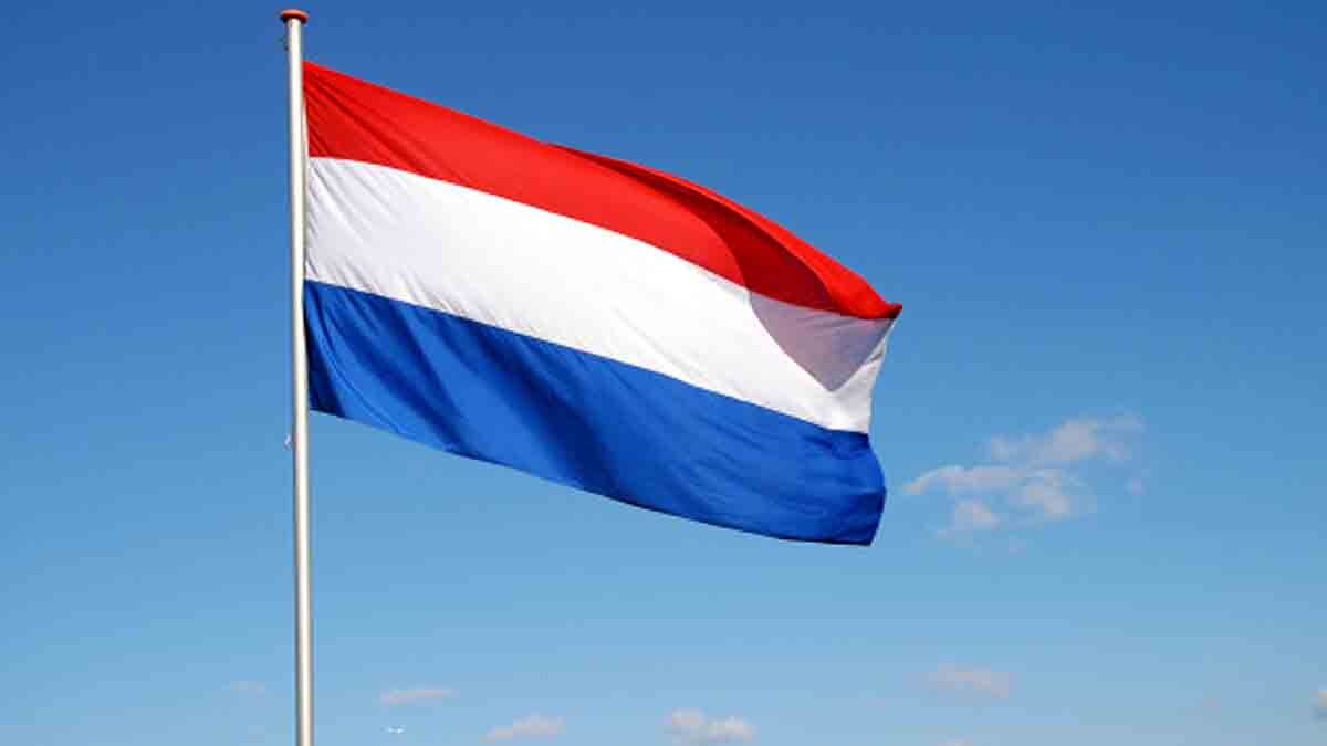 Netherlands HIV Variant