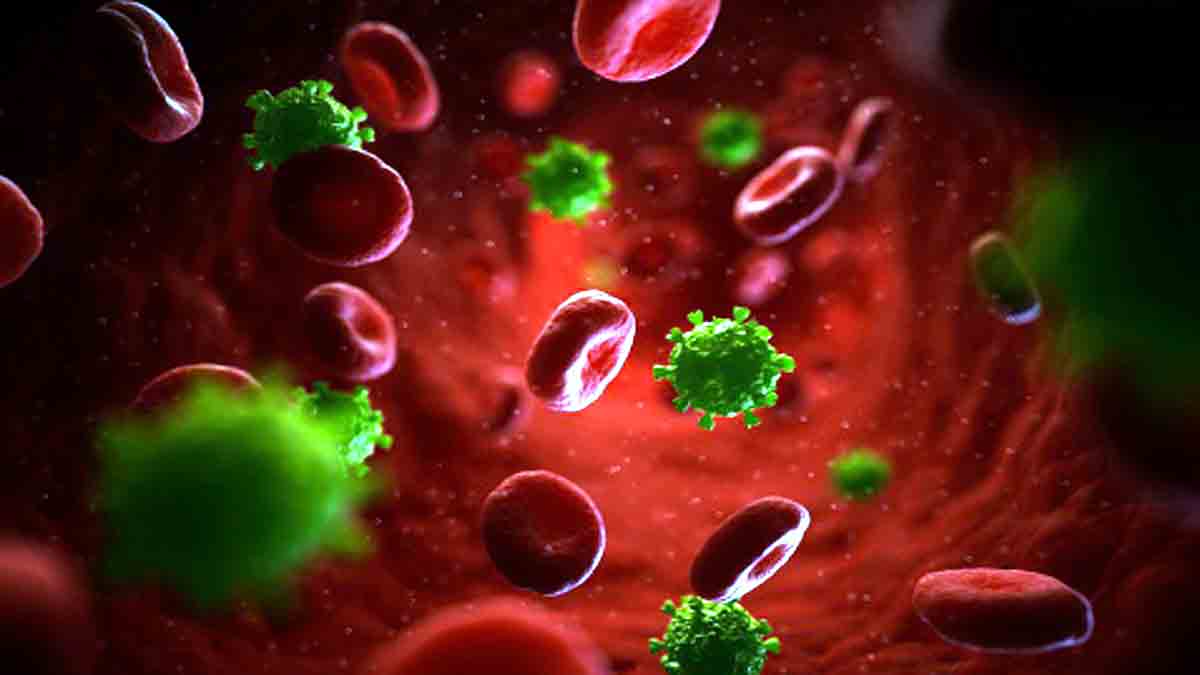 Netherlands HIV Variant