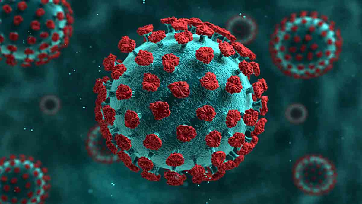 Netherlands HIV Variant