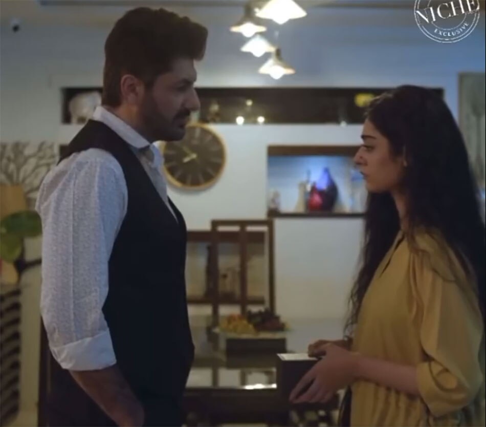 पाकिस्तानी सीरियल