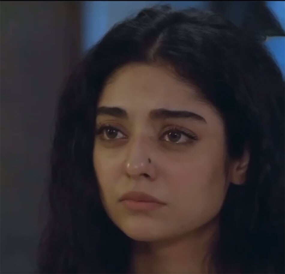 पाकिस्तानी सीरियल