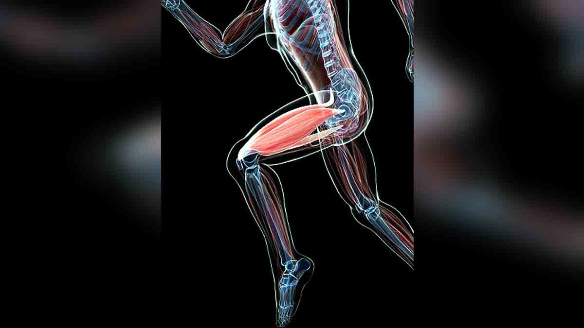 paralyzed men implant spinal cord